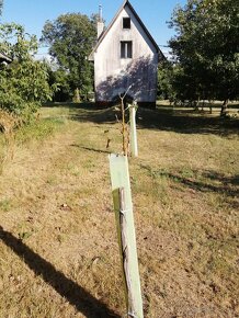 Predaj viničného domčeku s pozemkom v obci Farná - 11