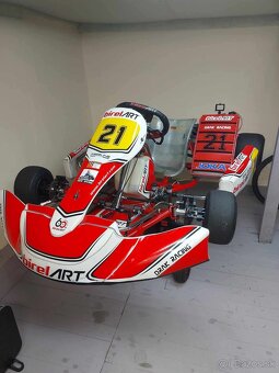 Motokára Birel Art  KZ2 - 11