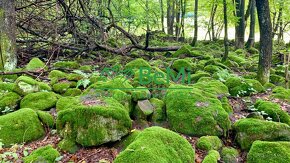 Slnečné pozemky 11434 m2, Michalková - 11