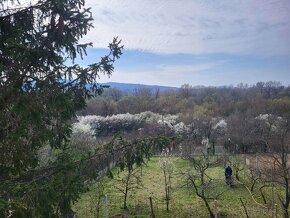 Na predaj Chata Kamenica nad Hronom Štúrovo - 11