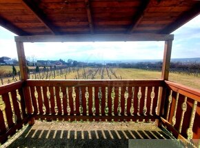 Poschodová chatka s vínnou pivnicou na vinohrade v obci Gb - 11