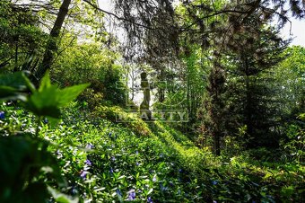 Na predaj RD na pozemku 4046m2 v Čermeli Košice-Sever - 11