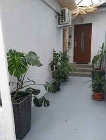 Apartmán Arónia - Piešťany - 11