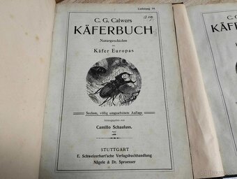 C.G.CALWERS--okolo roku 1905--KÄFERBUCH EINFÜHRUNG IN DIE KE - 11