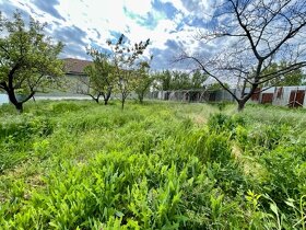 Na predaj vidiecky dom na veľkom pozemku Andovce - 11