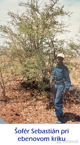 Africká Soška „Hakuna matata“, Lake Manyara Tanzánia - 11