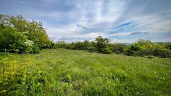 Investičný pozemok 2953 m2, Dolné Štitáre, Nitra - 11