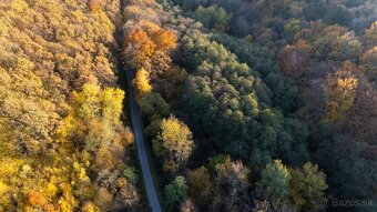 Kamenné (Košice) - 1.772 m2 LES v podiele 1/1 - 11