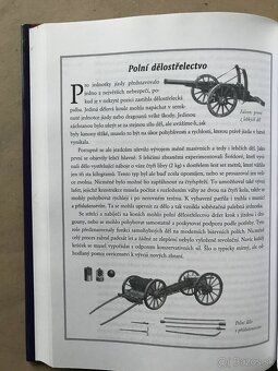 Dejiny Uhorska a Slováci, Aristoteles, Dejiny Slovenska - 11