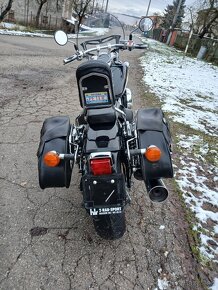 Honda VT 750 Balck Widow - 11