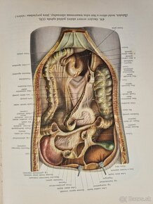 Atlas anatomie člověka II. a III. diel R.D.Sinělnikov - 11