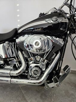 HARLAY DAVIDSON softail 100th - 11