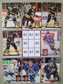 Hokejové kartičky Donruss 93/94 - 11