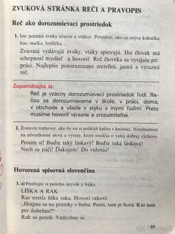 Jules Verne: Deti kapitána Granta, Zvedavý vianočný anjelik - 11