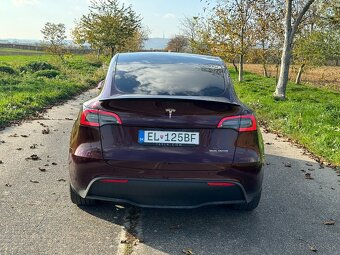 Tesla Model Y 75kWh Performance AWD - 11