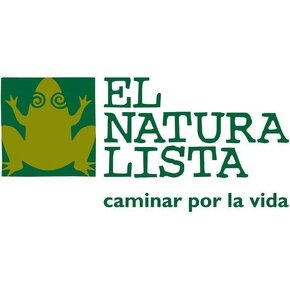 El Naturalista - celoročné kožené topánky veľkosť 31 - 11