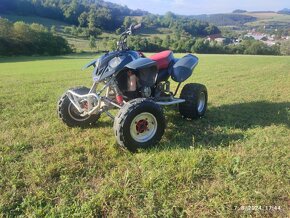 Polaris predátor 500 - 11