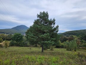 Predam stavebny pozemok v Kanasi - 12