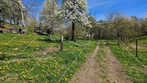 STAVEBNÝ POZEMOK PRE VÝSTAVBU RD - lokalita Kúty, Prešov - 12