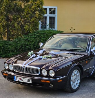 Daimler super V8 (Jaguar) - 12