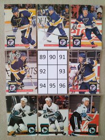 Hokejové kartičky Donruss 93/94 - 12