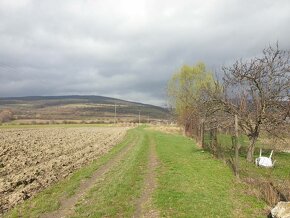 Rozľahlý stavebný pozemok, možnosť rozdelenia. Výhodná inves - 12