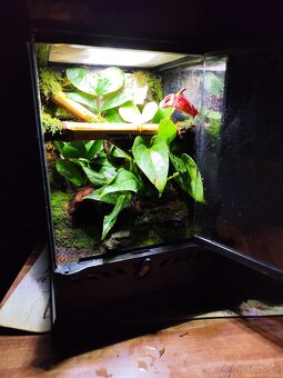 Terarium Exo terra - 12