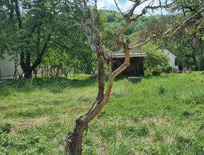 CHALÚPKA a POZEMOK 523m2 MORAVSKÉ LIESKOVÉ - NOVÉ MESTO n.V. - 12