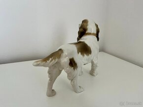 Porcelanovy pes springerspaniel Hutschenreuther - 12