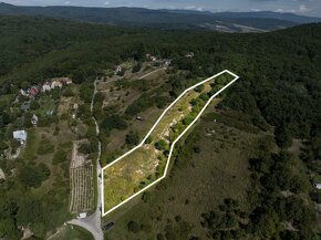 TOREA - POZEMOK NA PREDAJ - 2575 m2 - SVÄTÝ JUR, OKRES PEZIN - 12