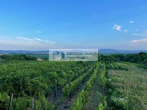 Predám  domček s vinicou a ornou pôdou  Mužla - 12