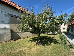 VINOHRAD vo vyhľadávanej lokalite mesta Skalica - Hliníky - 12