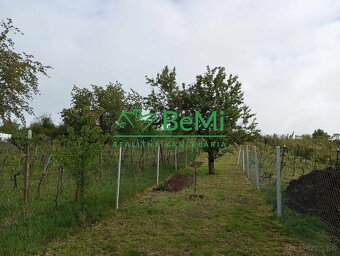 Predaj viničného domu s pozemkom - Levice - Šiklóš (001-13-H - 12