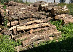 Palivové drevo tvrdé AGÁT - 12