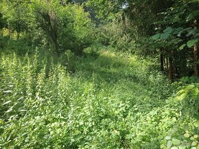 Kosenie, mulčovanie a čistenie pozemkov. Preprava materiálu. - 12