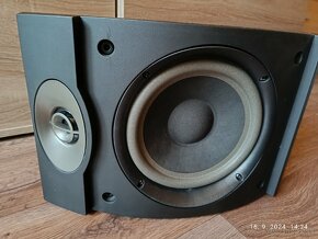 BOSE 301 Series V - 12