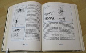 Encyklopédia muškárenia - 12