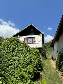 NA PREDAJ_CHATA S VINICOU priamo pod Turnianskym hradom - 12