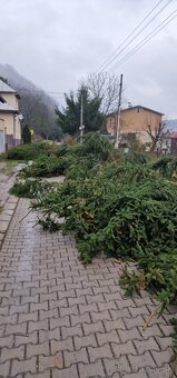 Ponúkam  ZÁHRADNÍCKE SLUŽBY - 12