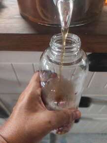 Kombucha - Scoby - Čajova huba - 12