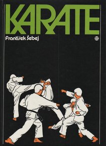 Kniha 2 - 12