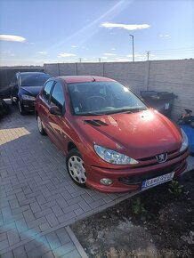 Peugeot 206 - 12