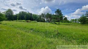 Lesný pozemok 37 000 m2 - 3,7 ha v obci Borský Mikuláš, 60 - 12