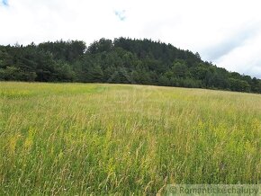 VÄČŠÍ POZEMOK S VÝHĽADOM NAD OBCOU ZÁSKALIE PRI POVAŽSKEJ - 12