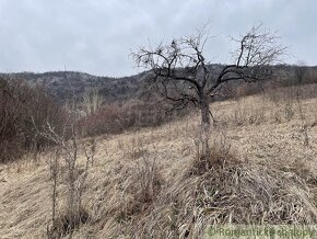 Dva pozemky s pekným výhľadom pri Jablonove nad Turňou - 12