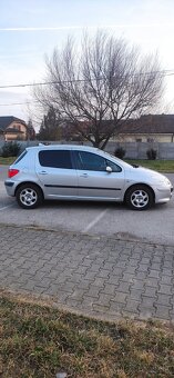 Peugeot 307 1.4 16V - 12