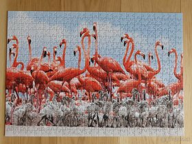 #1 poskladané obrázky PUZZLE 1000 - 12