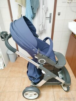 Stokke cruzi - 12