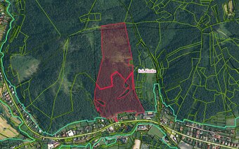 Korňa – 20.800 m2 LES s prístupom z obce - Na predaj - 12