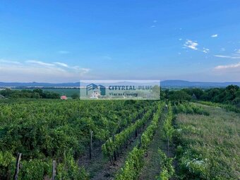 Predám  vinohradnícky domček s vinicou a ornou pôdou Štúrovo - 12